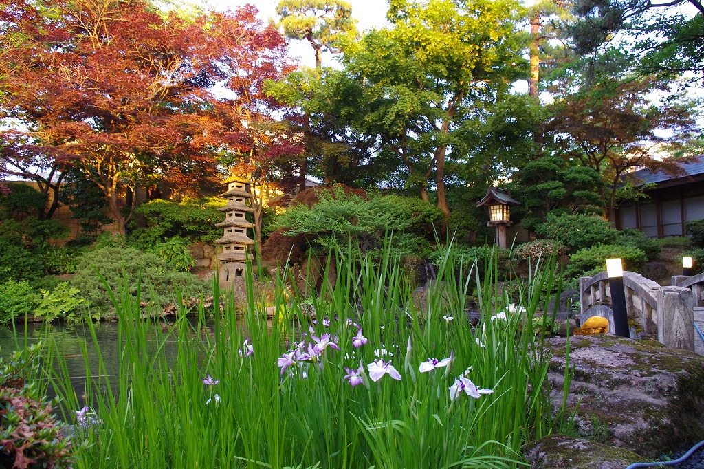 2013,6,25集合写真&6,27萬花楼お庭 010