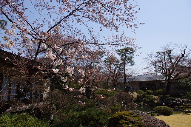 お庭2014,4,15萬花楼 008