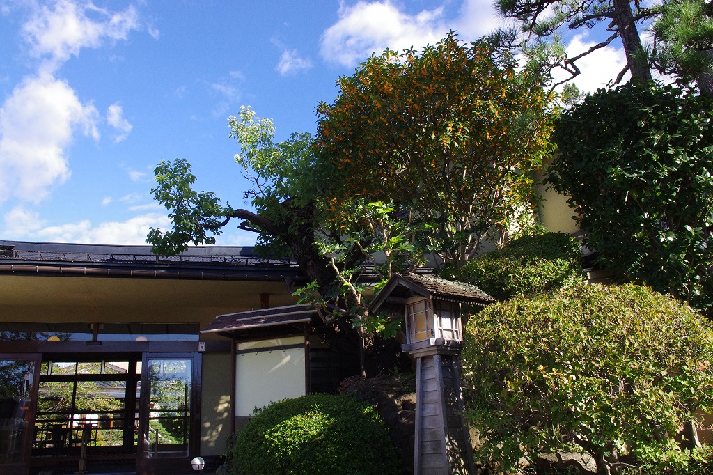 2013,9,27萬花楼お庭 077