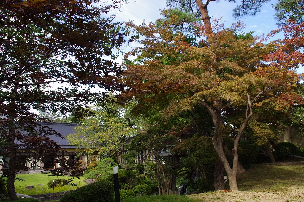 2013,10,1萬花楼お花＆お庭 018