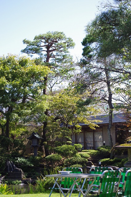 2011,9,24萬花楼庭 004