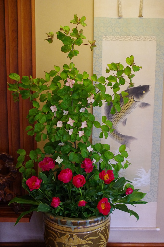 2013,5菊の間、お庭、八番 146