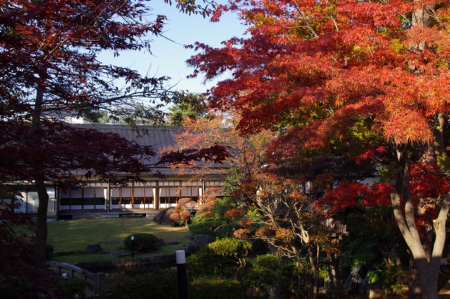 2013,11,16萬花楼お庭 025