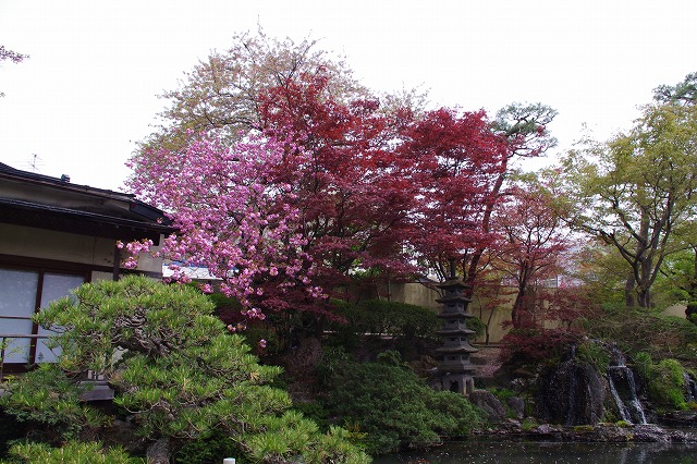 2014,4,28萬花楼お庭 005